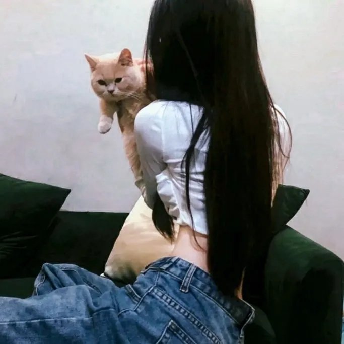 希德尼娅的骑士 封面
