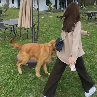 生息之地 封面
